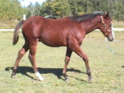 4 months old