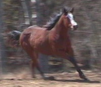 May 25, 2002