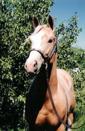April at 2 yrs - May 2005