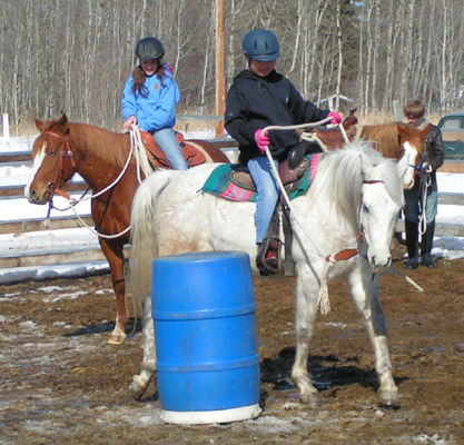 Diaro at a 4-H lesson
