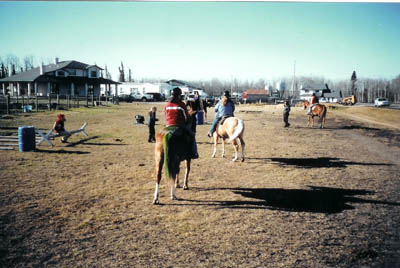 Front grass arena
