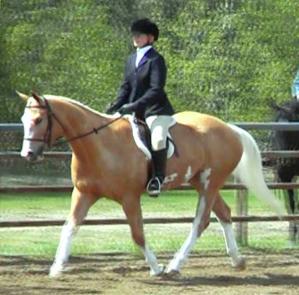 SAHA Mother's Day Show - May 2006 - her very first hunter under saddle class