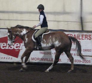 Bea at 3, first class under saddle at a show, paint filly, pinto filly, for sale
