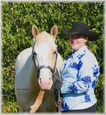 Palomino overo paint colt - Suddenly Lethal