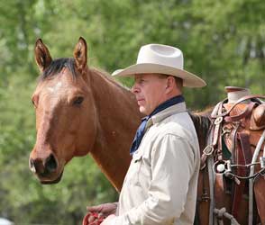 Storm Sun Dancer - dun quarter horse gelding