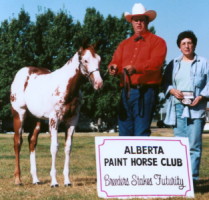 Breeders Trust champion filly