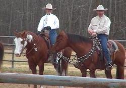 Kerri-Lee & Red E Impression champion stallion, Ken & Fred