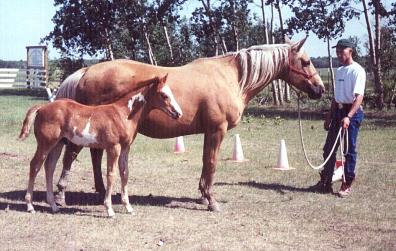 Missy & Kash