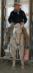 Pixie - palomino quarter horse mare for sale