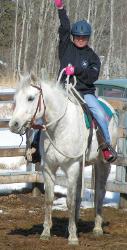 Diaro grey arabian pony club gelding pony jumper prospect for sale