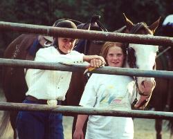 Red E Impression, paint stallion, pinto stallion, standing at stud near Sherwood Park, Alberta