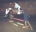 Red E Impression, paint stallion, pinto stallion, standing at stud near Sherwood Park, Alberta