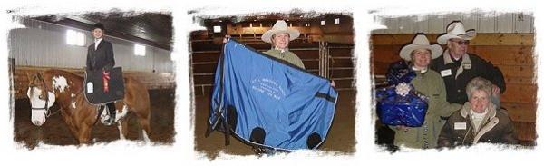 Red E Impression, paint stallion, pinto stallion, standing at stud near Sherwood Park, Alberta
