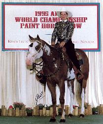 Red E Impression, paint stallion, pinto stallion, standing at stud near Sherwood Park, Alberta